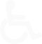 handicapicon