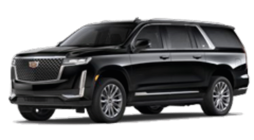 Miami Shores Limousine: What to Expect from the Ride?